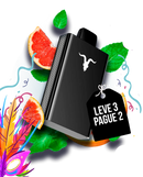 lginite 8K Pague 2 Leve 3